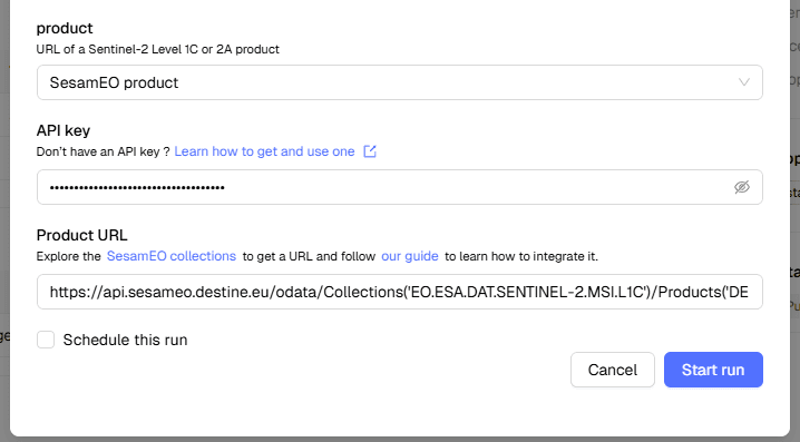 Enter SesamEO API Key